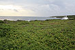 Mapu a Vaea Blowholes photo