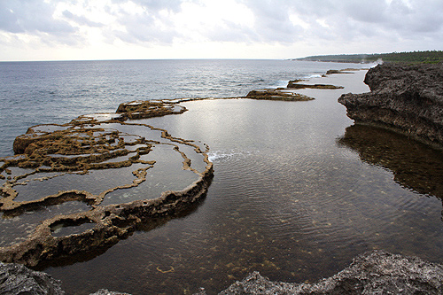 Coral Pools photo