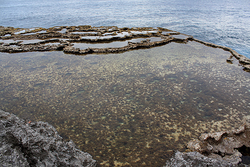 Mapu a Vaea Coral Pools photo