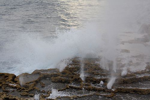 Mapu a Vaea Blowholes photo