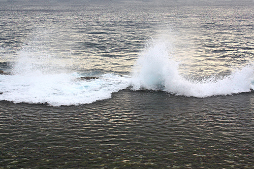 Mapu a Vaea Coral Barrier photo