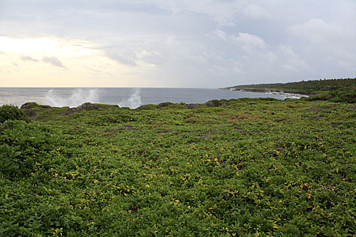Tongatapu South Coast photo
