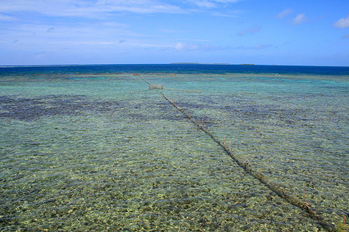 Fish Farm photo