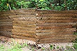 Tongan Fence photo