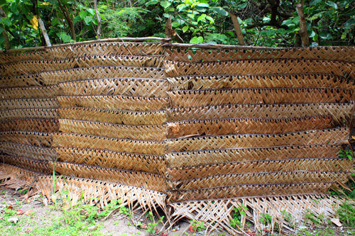 Weaved Fence photo