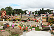 Tongan Cemetary photo