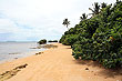 Coastal Vegetation photo