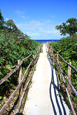 Coastal Flora photo