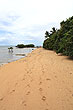 Coastal Vegetation photo