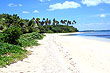 Coastal Vegetation photo