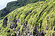 Limestone Cliffs photo
