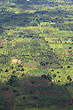 Tongatapu Plantations photo
