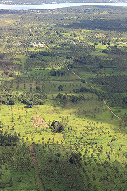 Tongatapu photo