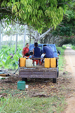 Plantation Workers photo