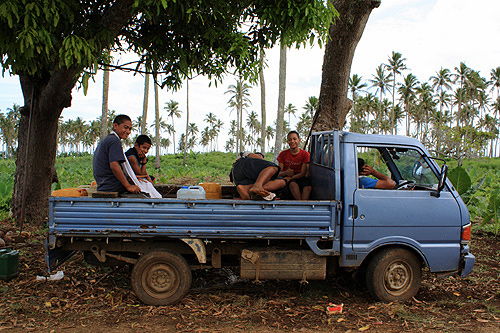 Plantation Workers photo