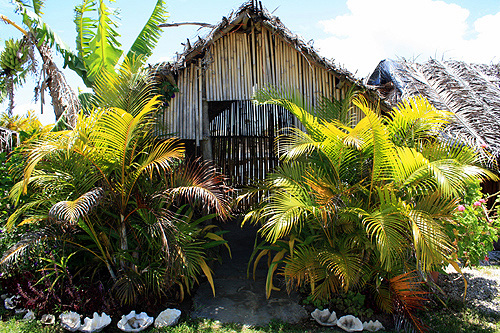 Traditional Fale photo